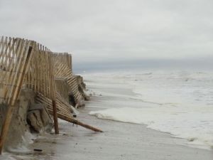 beachrebuilding